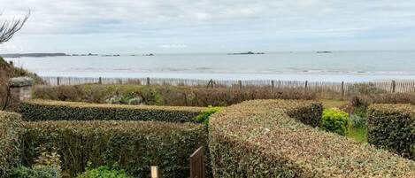 Ciel, Mur, Arbre, Mer, Herbe, Arbuste, Famille Grass, Rive, Côte, Paysage