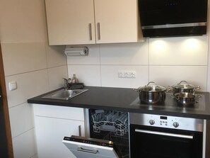 Küchenkomfort mit Spülmaschine, Mikro, Backofen u. Induktionsherd