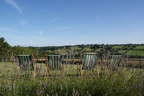 Relax on the lawn