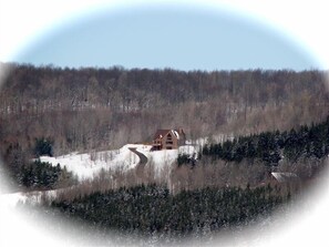 View of 5 Acre Mountain Top Property from Holimont Ski Slope