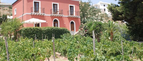 Casa Ciotta-Levante