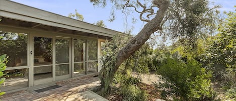 Iconic moonah tree near master bedroom.  The house is surrounded by garden.