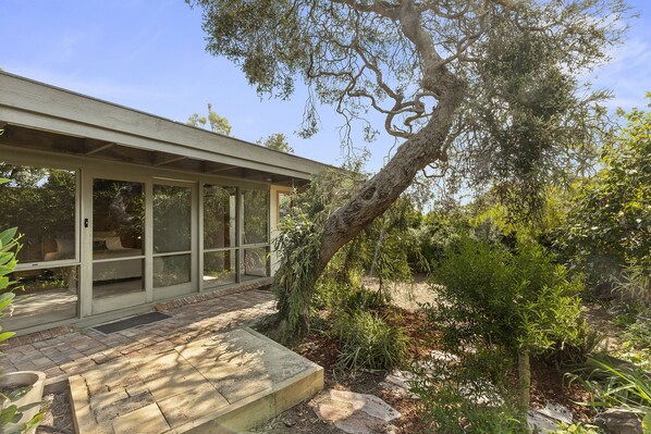 Iconic moonah tree near master bedroom.  The house is surrounded by garden.