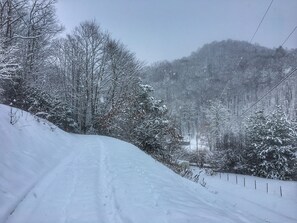 Our driveway in winter