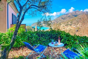 Garden, Scenic View