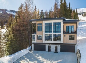 Ultra modern alpine facade