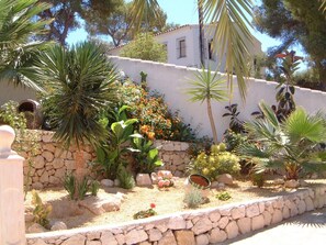 Part of the garden by the pool