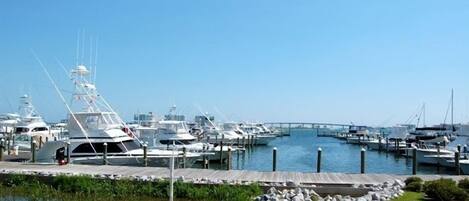 View of Sportsmans Marina and Perdido Pass