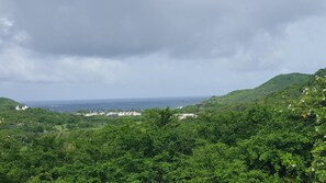 Beach/ocean view