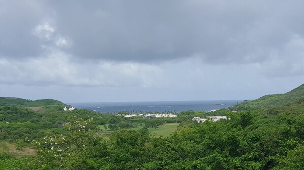 Gorgeous view from the Patio