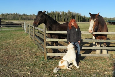 Woodhouse Cottages and Ranch - Cowboy Cottage