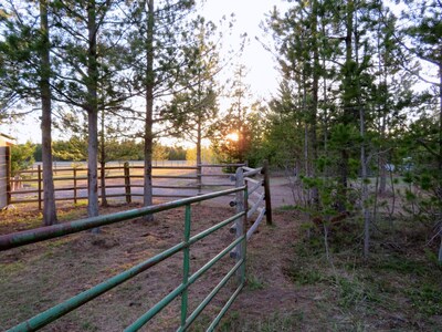 Woodhouse Cottages and Ranch - Cowboy Cottage