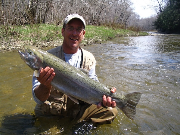 A nice spring steelhead!