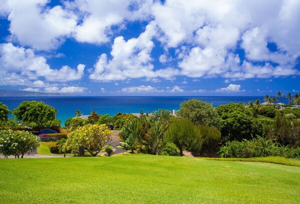 Ocean views, sail boats and humpback whales are a frequent site