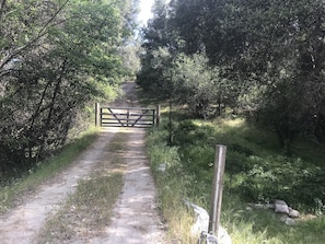 Ulkoalueet