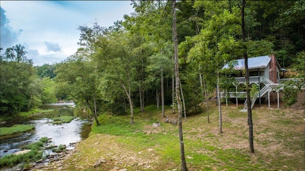 Front yard and Cabin