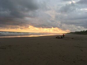 Strand