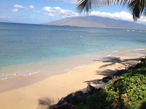 "Our" beach - looking north from our front grass. Steps lead down to the ocean. 