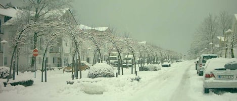 Sneeuw- en skisporten