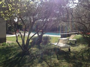 Repos sous les oliviers