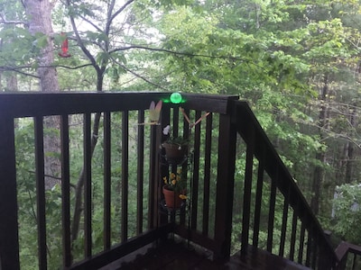 Cabin at Woods Creek Lake in East Bernstadt, Ky Beautiful Wooded Views