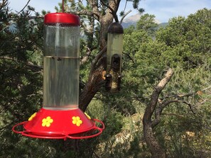 Enjoy watching hummingbirds and other wildlife from the dining room or the deck.