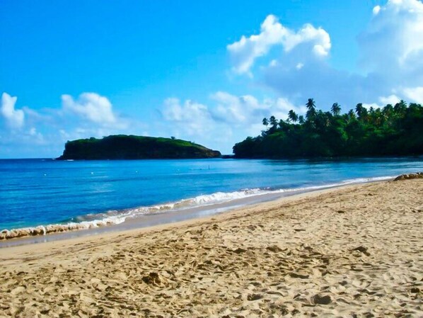 Playa