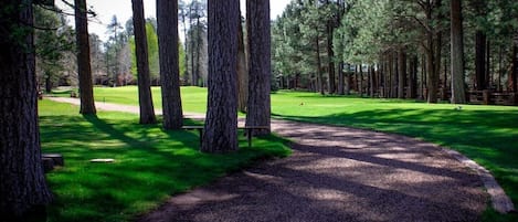 Overnatningsstedets område