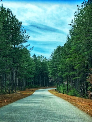 Breathe in the fresh air as you drive down the tree lined road to Selah