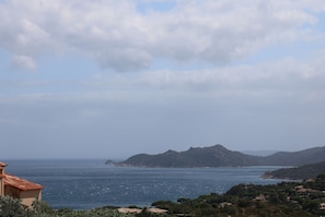 Beach/ocean view