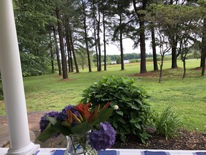 Front yard + views of Swan Creek