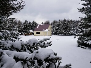 Snowshoe trails on the propety. Only 10 min. drive to Cyrstal Mtn. Ski Resort.