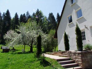 Jardines del alojamiento