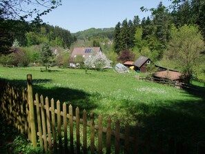 Blick vom Waldweg auf die Wonderworld