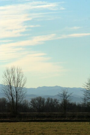 Oklassificerad bild, 4 av 9, knapp