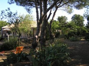 Garden, Park
