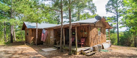 Cabin under the tall pines with great views