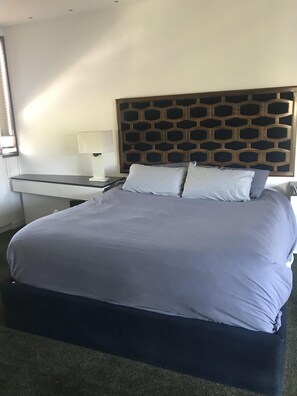 master bedroom with king bed