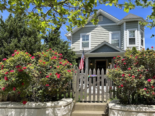 Front of cottage with roses in full bloom

