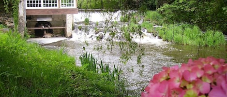 Jardines del alojamiento