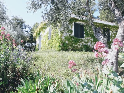 Picture of villa