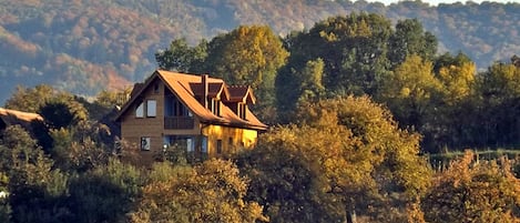 Villa Zollo - holiday rental Romania Transylvania • Photo: www.casa-vale.net