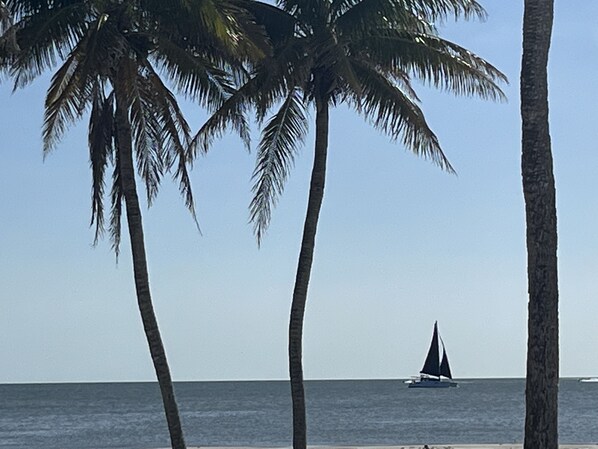 Gulf of Mexico in front of house.