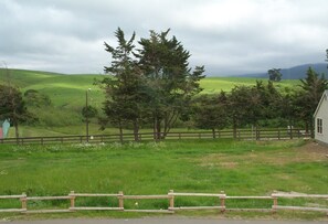 View from Front Porch