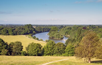 Self catering luxury garden studio in Richmond 