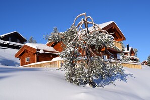 Das Ferienhaus im Winter