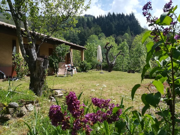 Maison & terrasse
