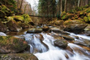 Ferienpark Geyersberg (Freyung)-Wandermöglichkeiten