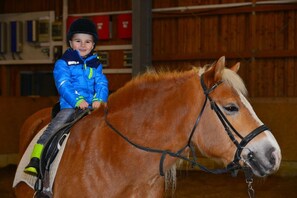 Wenzlhof (Zwiesel)-Ponyreiten