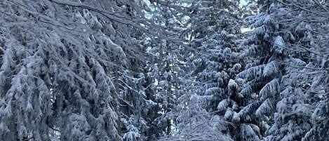 Esportes de neve e esqui